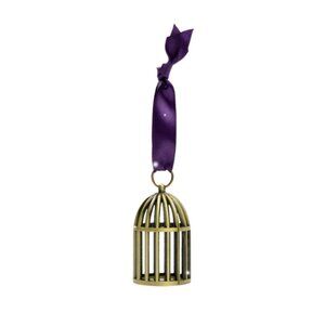 NEW IN BOX Speak Now (Taylor's Version) Bird Cage Ornament